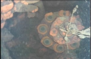 fukushima Unit 3 reactor robot image