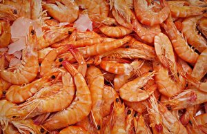 Fishing for profits - shrimp farmers in Colombia have caught on to IoT