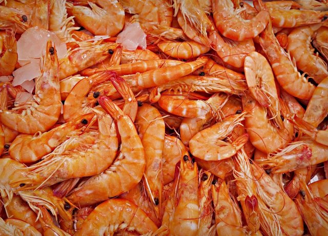 Fishing for profits - shrimp farmers in Colombia have caught on to IoT