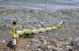 EPFL envirobot, marine conservation with a difference