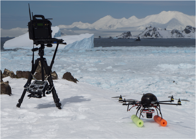 drones and aerial technology used to gather data on seals in antarctica