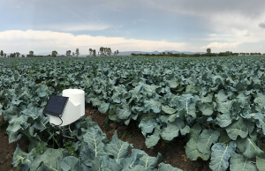 Inmarsat inks deal with Pessl Instruments on agricultural IoT