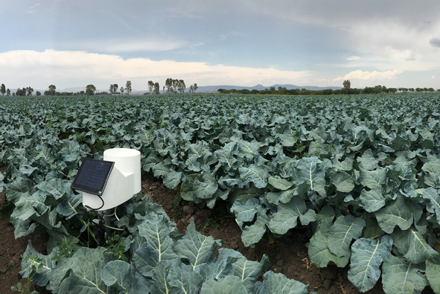 Inmarsat inks deal with Pessl Instruments on agricultural IoT