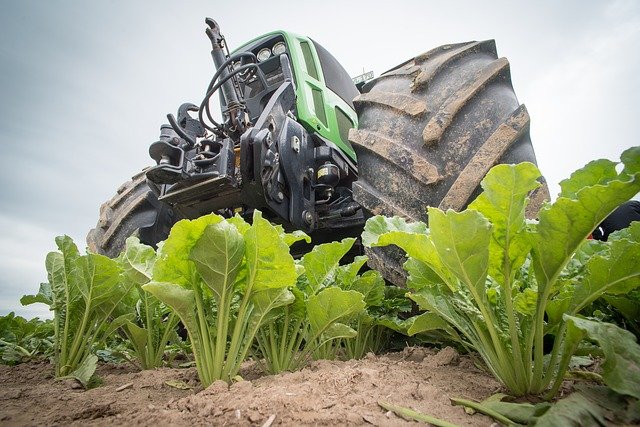 Real-time disease monitoring unearths power of IoT in agriculture