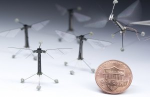 cornell university insect robots, robobee