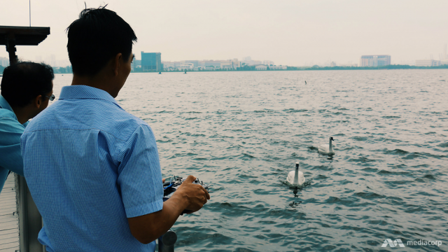 singapore swan robots measure water quality on resevoirs