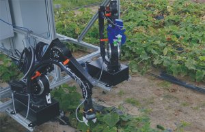 With the help of partners across Europe, researchers at Berlin's Fraunhofer Institute are developing a robotic system capable of automating the cucumber harvest. 