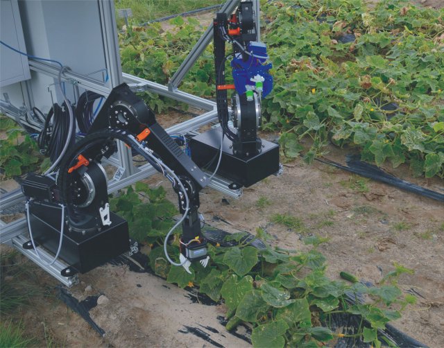 With the help of partners across Europe, researchers at Berlin's Fraunhofer Institute are developing a robotic system capable of automating the cucumber harvest. 