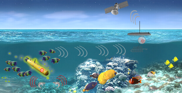 DARPA - PALS program could develop an underwater network of marine spies