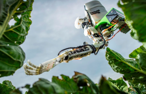 The GummiArm robot - filling the labour market void in UK agriculture