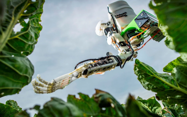 The GummiArm robot - filling the labour market void in UK agriculture