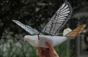 china using bird-inspired dove drone for state surveillance