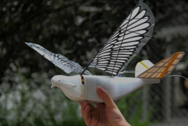 china using bird-inspired dove drone for state surveillance